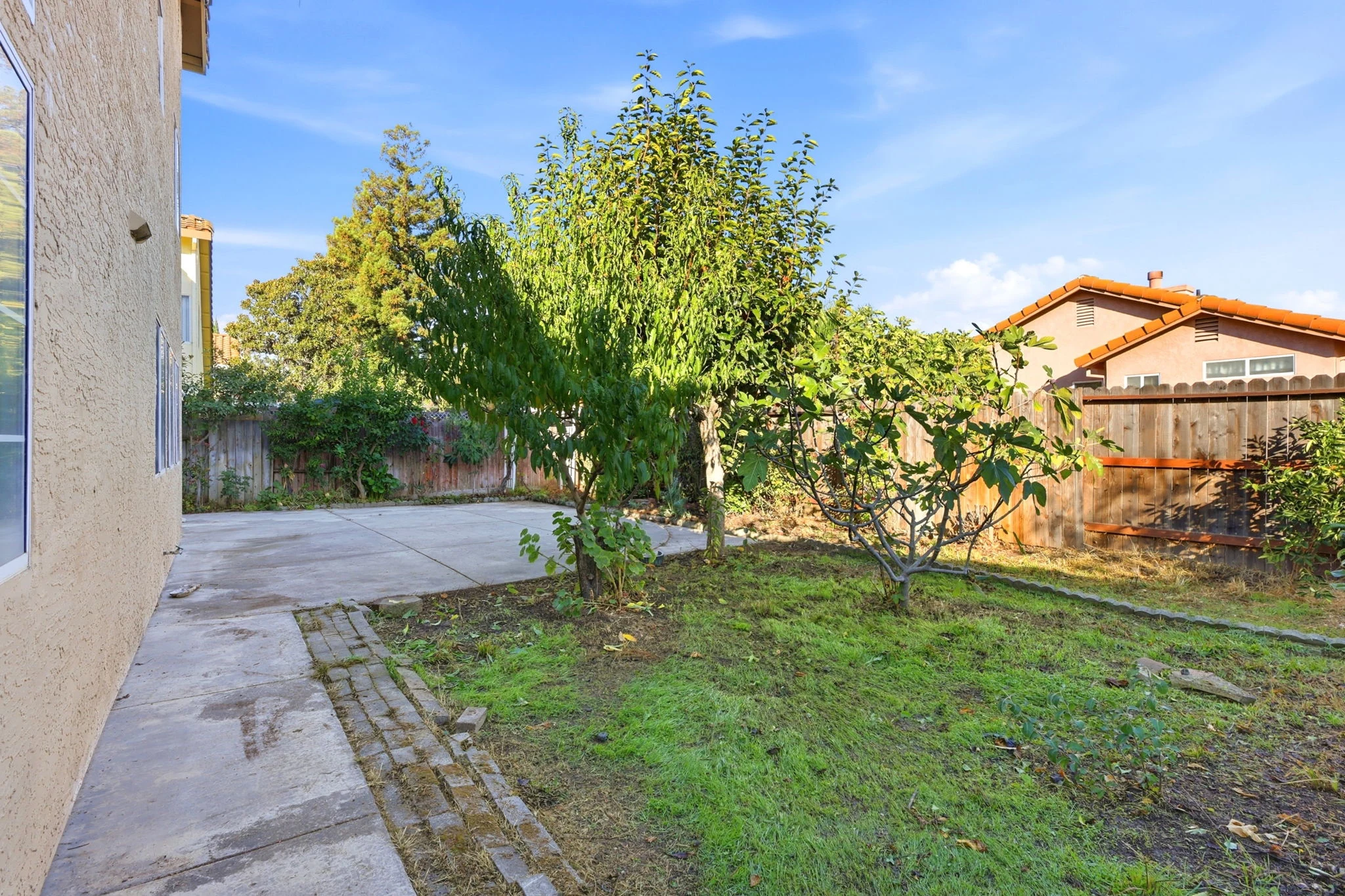 Backyard with established fruit trees